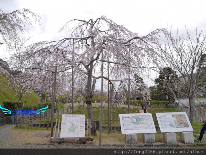 (日本靜岡 掛川) 東海名城-掛川城