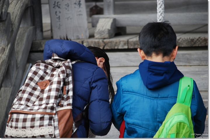 [日本東北自助行]-宮城-松島海岸-松島海岸逛逛+魚市場烤牡蠣吃到飽