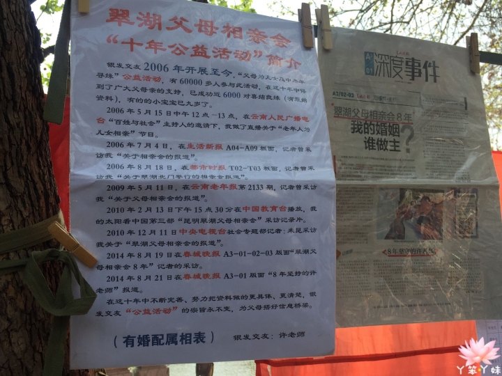 【中國・昆明・2016】昆明翠湖公園-西伯利亞紅嘴鷗過境地