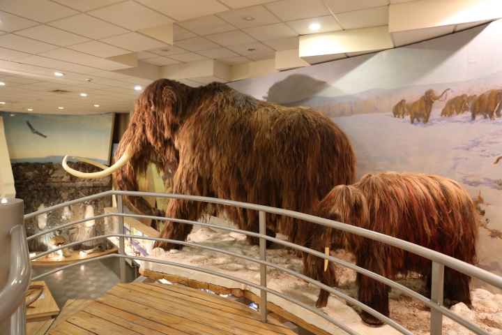 [俄羅斯] 向急凍前進～雅庫茨克Yakutsk – Here, I am travelling