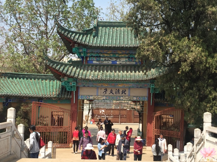 【中國・昆明・2016】昆明翠湖公園-西伯利亞紅嘴鷗過境地