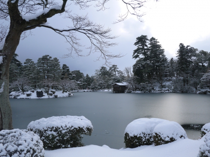 【日本 中部/石川金澤】兼六園-日本三大名園之一的絕美雪景