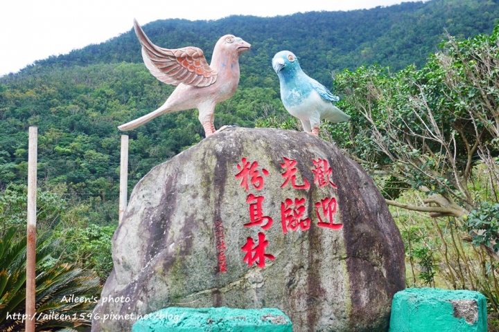 [宜蘭] IG推薦不能錯過．蘇澳絕美熱門打卡點『粉鳥林』秘境海岸