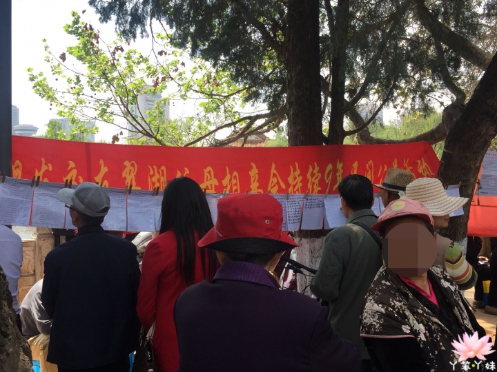 【中國・昆明・2016】昆明翠湖公園-西伯利亞紅嘴鷗過境地
