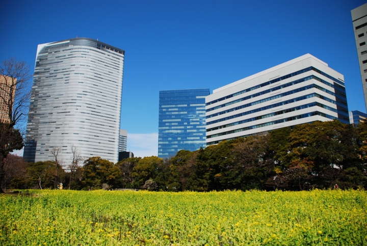 <日本>2014老男人日本流浪記~舊浜離宮庭院及台場