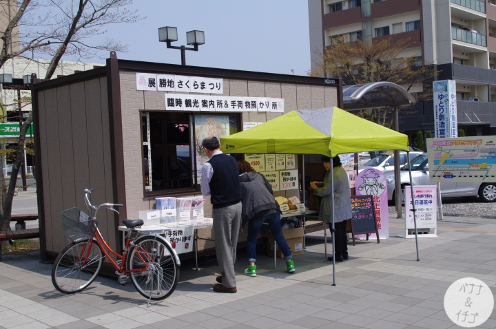 「岩手賞櫻」--北上訪聖地 北上展勝地