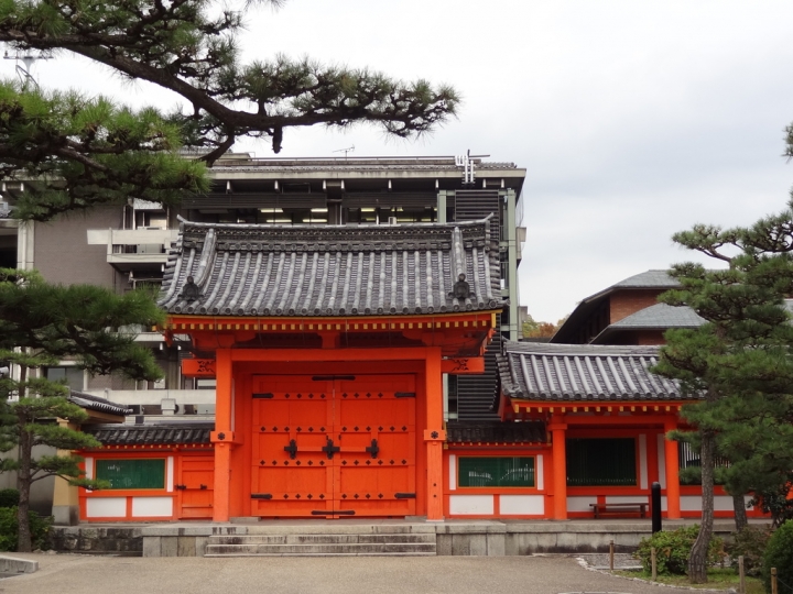 ＜日本＞2011自私之日本行~東福寺、三十三間堂、西本願寺、新京極