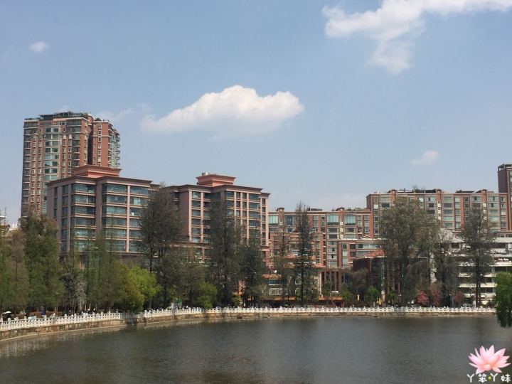 【中國・昆明・2016】昆明翠湖公園-西伯利亞紅嘴鷗過境地