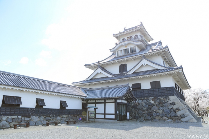 【滋賀】長濱城（豐公園），琵琶湖東岸的櫻花百選