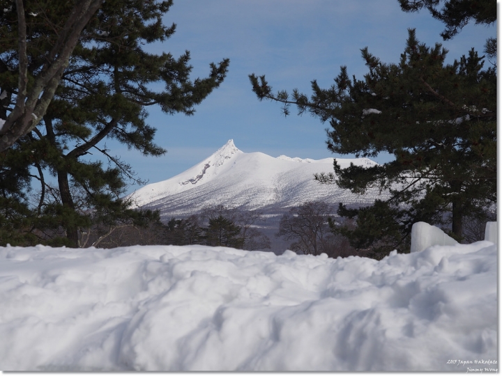 [日本東北自助行]-延伸北海道函館-巧遇冰雪奇緣雪寶-大沼國定公園(爽吃3.6kg帝王蟹)