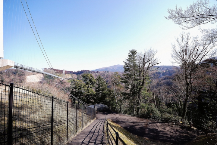 [日本北九州自助行]-大分-長達近390m的九重"夢"大吊橋