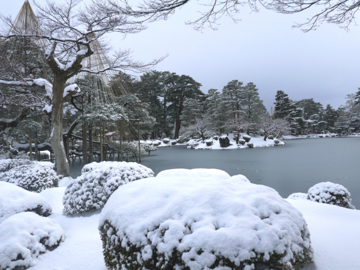 【日本 中部/石川金澤】兼六園-日本三大名園之一的絕美雪景