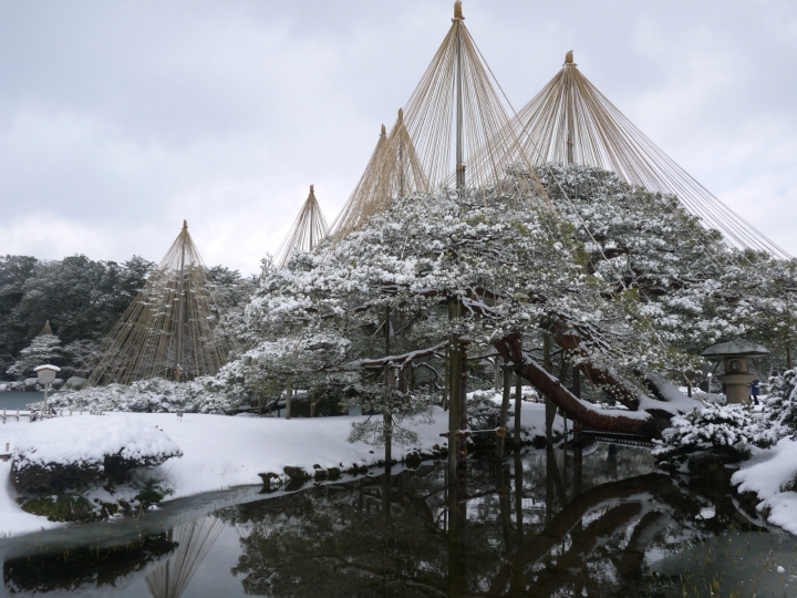 【日本 中部/石川金澤】兼六園-日本三大名園之一的絕美雪景