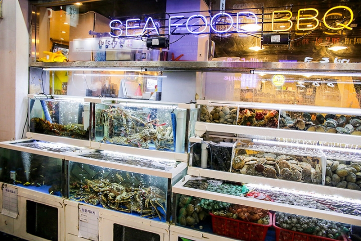 【玩 韓國】首爾 明洞명동 "조개와 貝殼哥"必吃超狂海鮮鐵盆鍋。來明洞就是要吃海鮮啊~