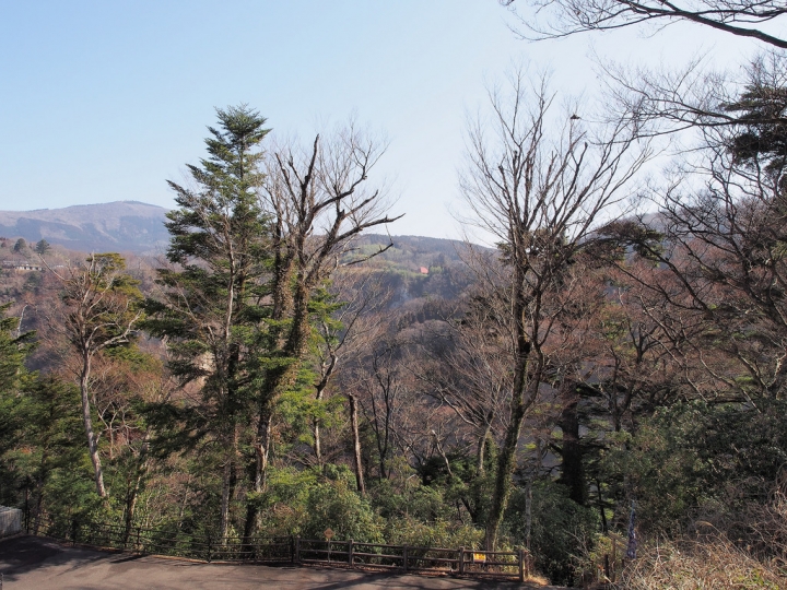 [日本北九州自助行]-大分-長達近390m的九重"夢"大吊橋