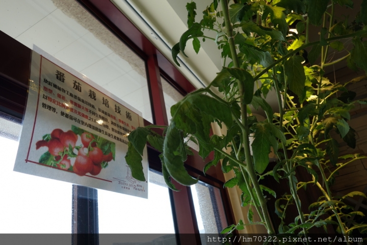 『桃園美食』-龜山山鶯路． Bistro 181法國餐廳 / 法式料理 / 有機法式料理 / 義大利麵