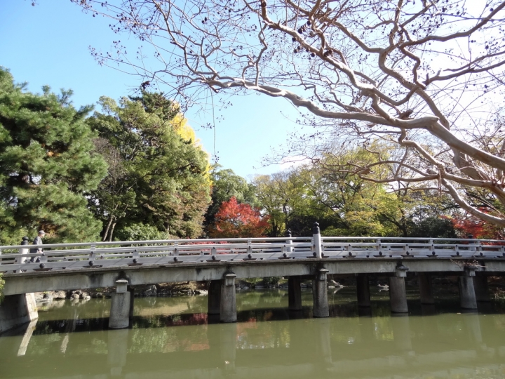 ＜日本＞2011自私之日本行~永觀堂外圍、京都御院