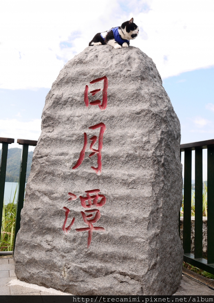 【周刊王-日月潭】朵麗絲的家-貓奴首選寵物友善特色民宿/環湖步道騎單車/碼頭特色小吃*毛孩輕旅行