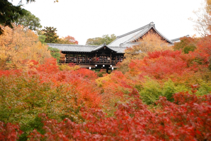 ＜日本＞2011自私之日本行~東福寺、三十三間堂、西本願寺、新京極