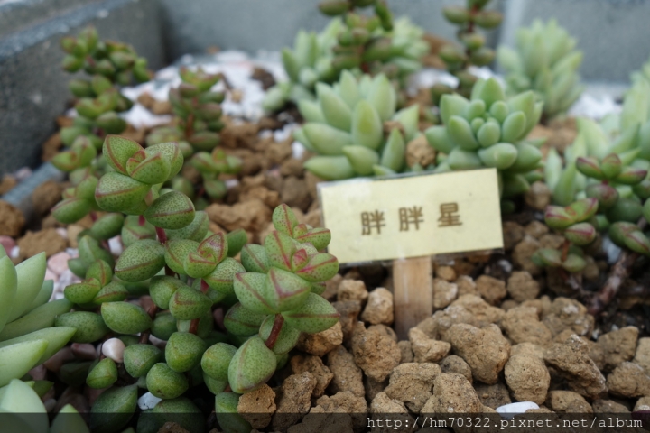 『桃園美食』-龜山山鶯路． Bistro 181法國餐廳 / 法式料理 / 有機法式料理 / 義大利麵