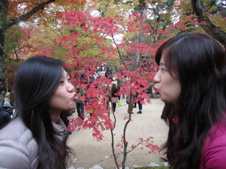 ＜日本＞2011自私之日本行~東福寺、三十三間堂、西本願寺、新京極