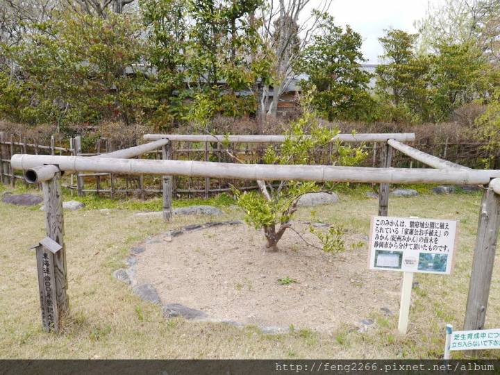 (日本靜岡 掛川) 東海名城-掛川城