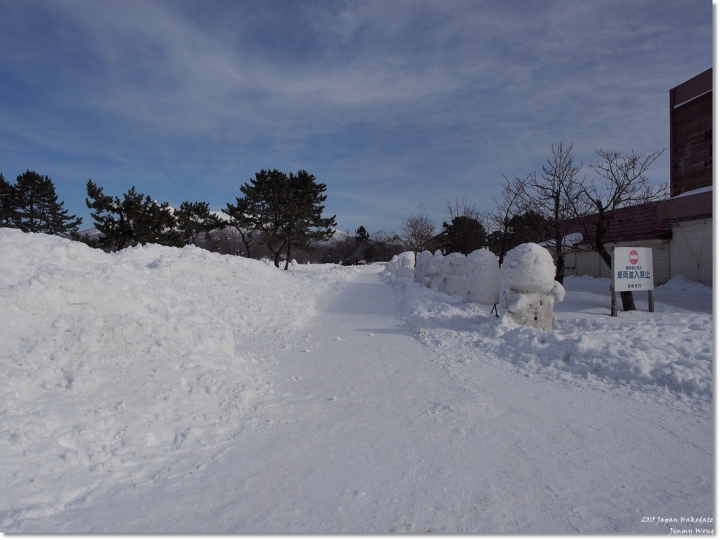 [日本東北自助行]-延伸北海道函館-巧遇冰雪奇緣雪寶-大沼國定公園(爽吃3.6kg帝王蟹)