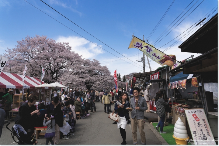 [日本富士山環山之旅]-山梨-我在南阿爾卑斯連峰下遇見2000年樹齡山高神代櫻