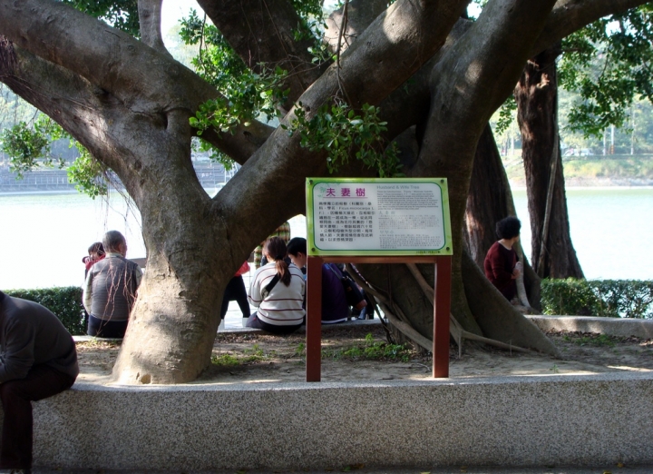 我的故鄉-台灣最古老的水庫-台南新化虎頭埤水庫