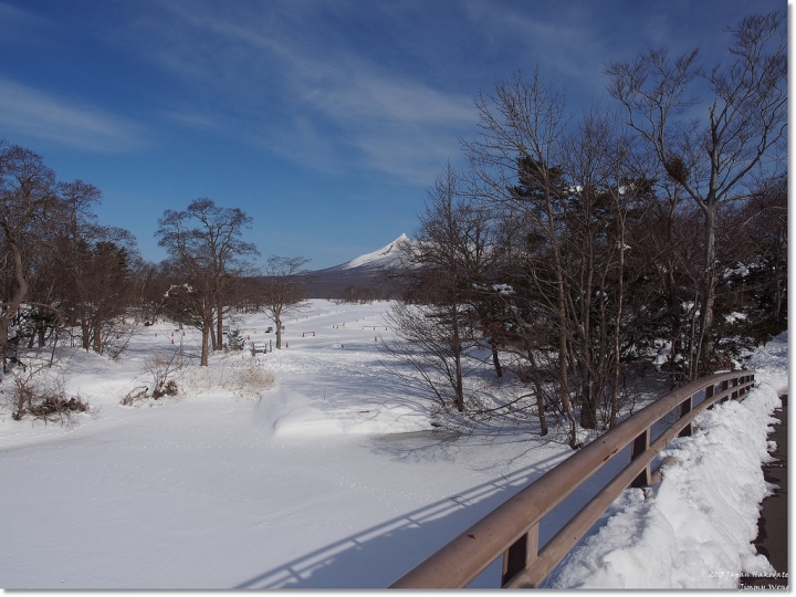 [日本東北自助行]-延伸北海道函館-巧遇冰雪奇緣雪寶-大沼國定公園(爽吃3.6kg帝王蟹)