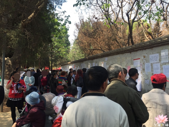 【中國・昆明・2016】昆明翠湖公園-西伯利亞紅嘴鷗過境地