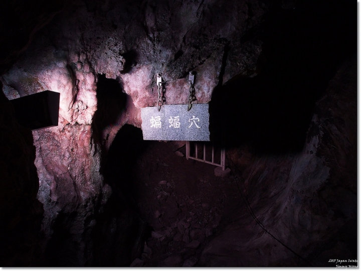 [日本東北自助行]-岩手-東北太平洋海岸旁之龍泉洞(鐘乳石洞/地底湖)