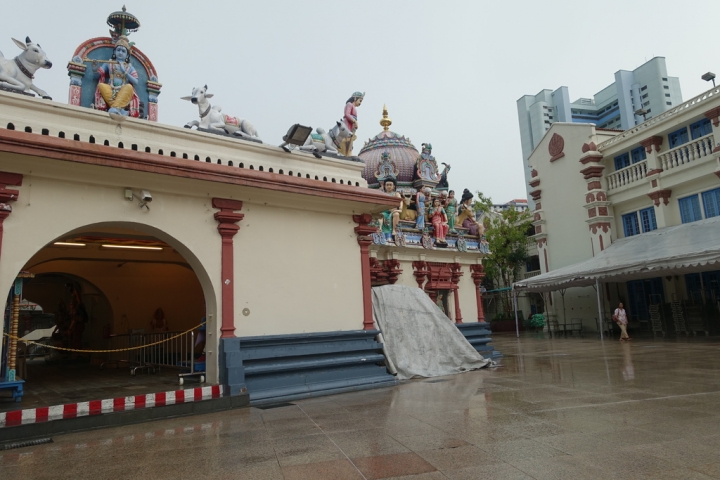 <新加坡>2016新加坡知性之旅~牛車水佛牙寺、小印度區、夜間動物園