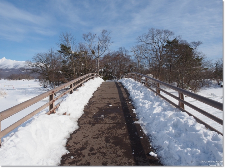 [日本東北自助行]-延伸北海道函館-巧遇冰雪奇緣雪寶-大沼國定公園(爽吃3.6kg帝王蟹)