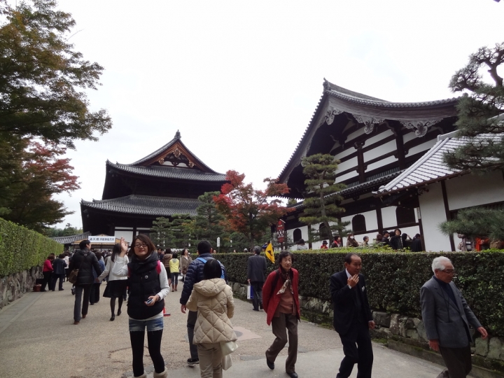 ＜日本＞2011自私之日本行~東福寺、三十三間堂、西本願寺、新京極
