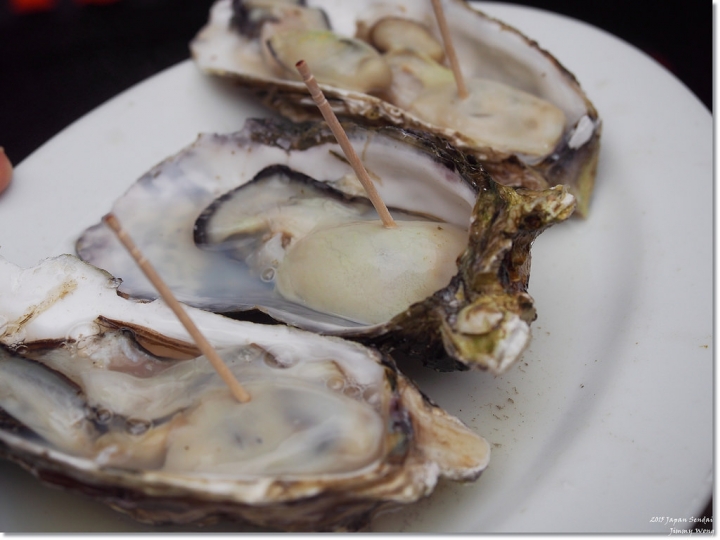 [日本東北自助行]-宮城-松島海岸-松島海岸逛逛+魚市場烤牡蠣吃到飽