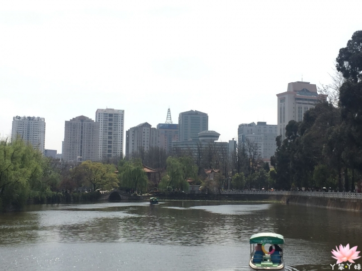 【中國・昆明・2016】昆明翠湖公園-西伯利亞紅嘴鷗過境地