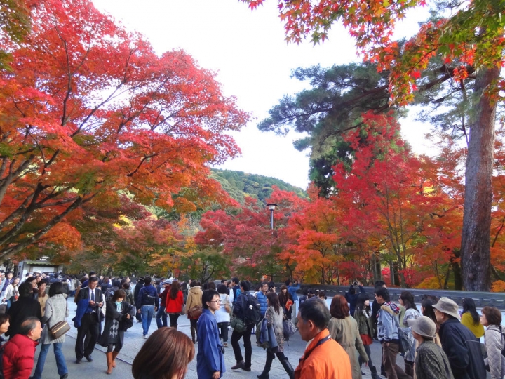 ＜日本＞2011自私之日本行~永觀堂外圍、京都御院