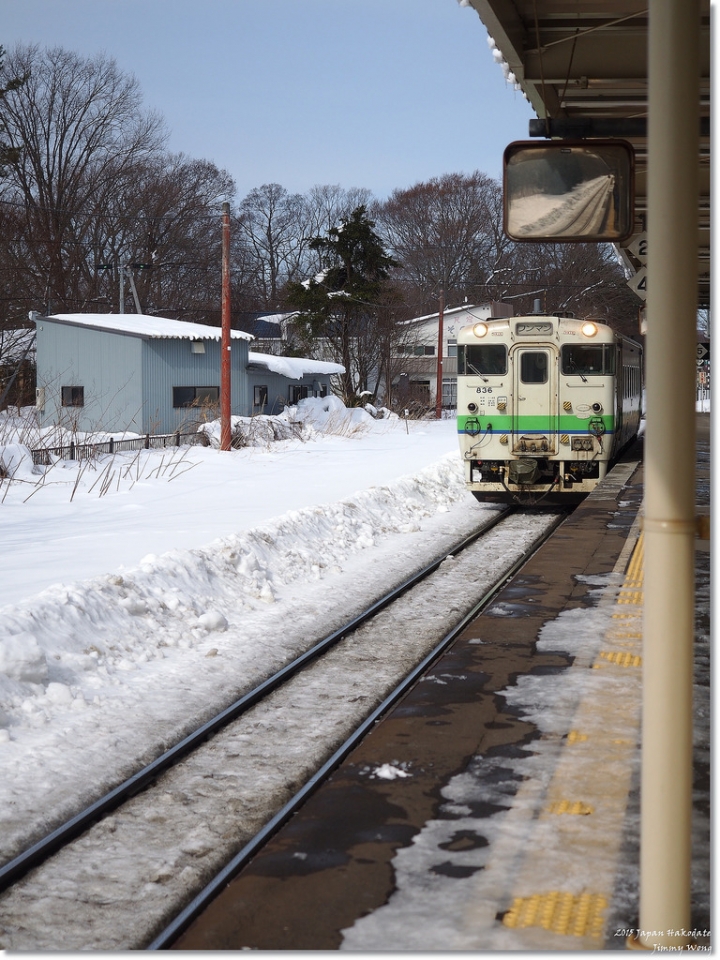 [日本東北自助行]-延伸北海道函館-巧遇冰雪奇緣雪寶-大沼國定公園(爽吃3.6kg帝王蟹)