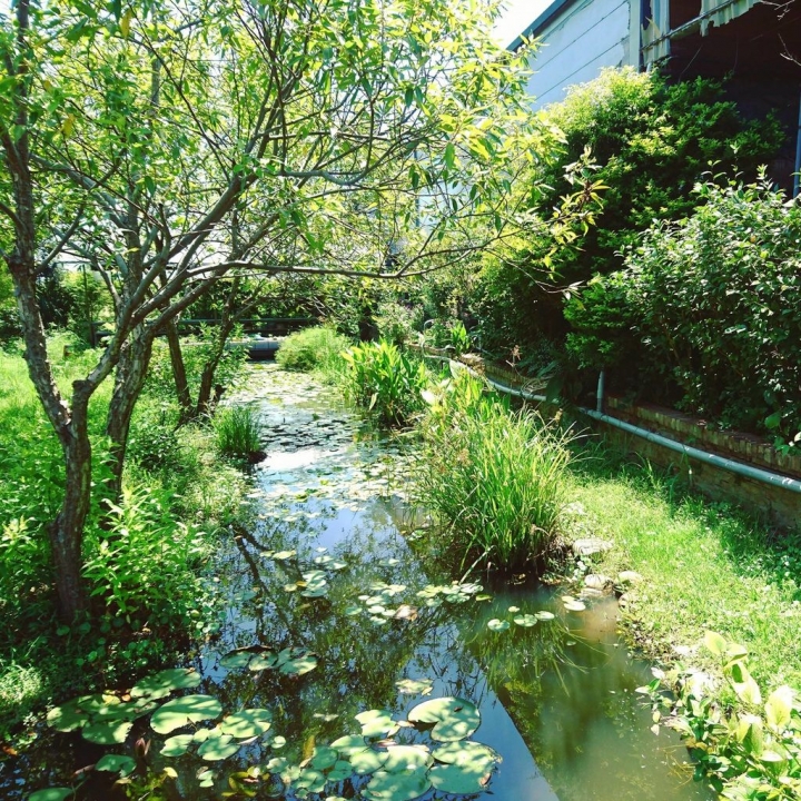 〔遊記〕桃園新屋-活力健康農場