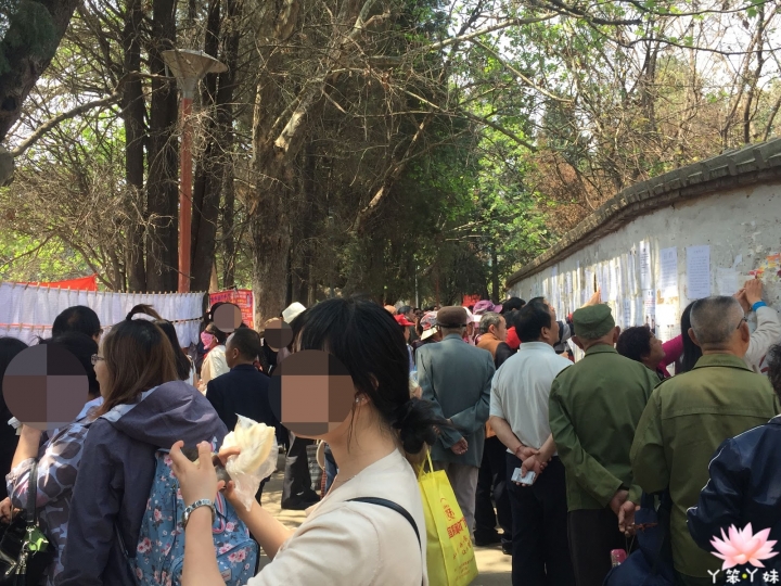 【中國・昆明・2016】昆明翠湖公園-西伯利亞紅嘴鷗過境地