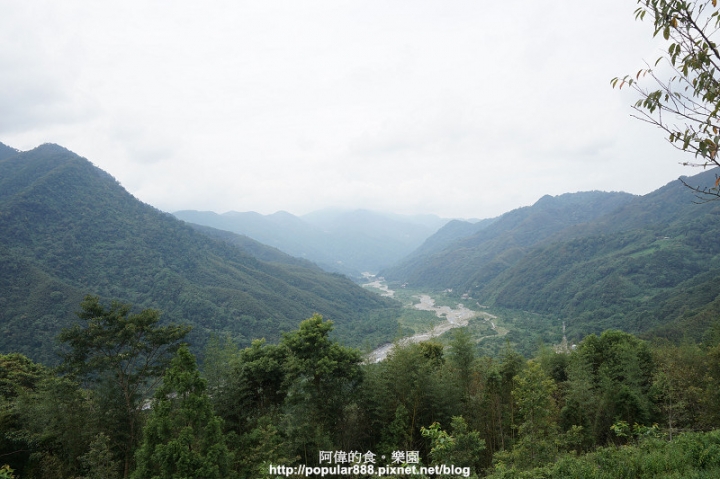 【新竹縣】即將消失的"薰衣草森林"輕旅行，欣賞美景還能DIY手工皂