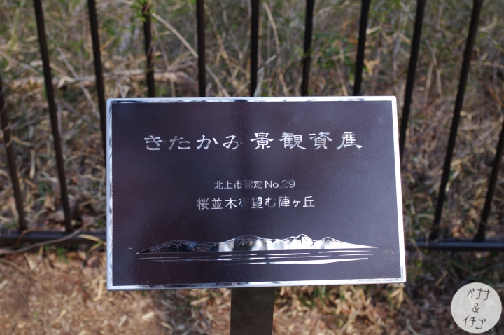 「岩手賞櫻」--北上訪聖地 北上展勝地
