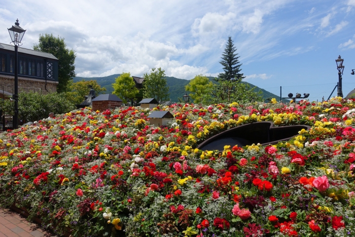 【2016北海道親子行】札幌白色戀人公園/觀光工廠。超好殺底片的歐洲景色公園