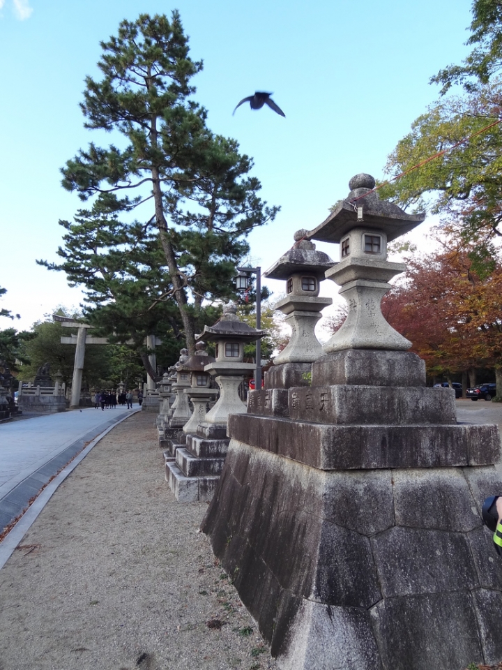 ＜日本＞2011自私之日本行~天龍寺、金閣寺、北野天滿宮、嵐山