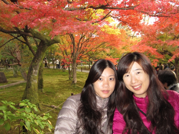 ＜日本＞2011自私之日本行~東福寺、三十三間堂、西本願寺、新京極