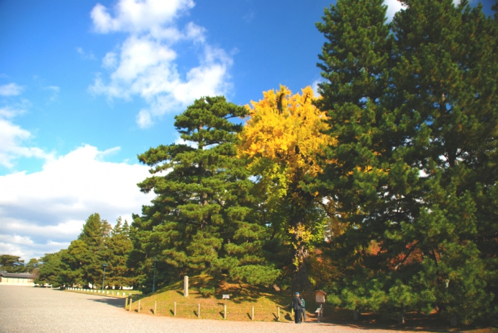＜日本＞2011自私之日本行~永觀堂外圍、京都御院