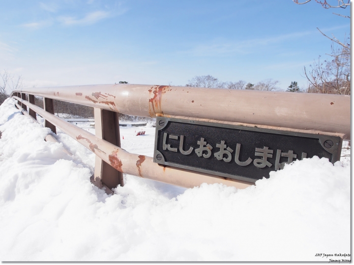 [日本東北自助行]-延伸北海道函館-巧遇冰雪奇緣雪寶-大沼國定公園(爽吃3.6kg帝王蟹)