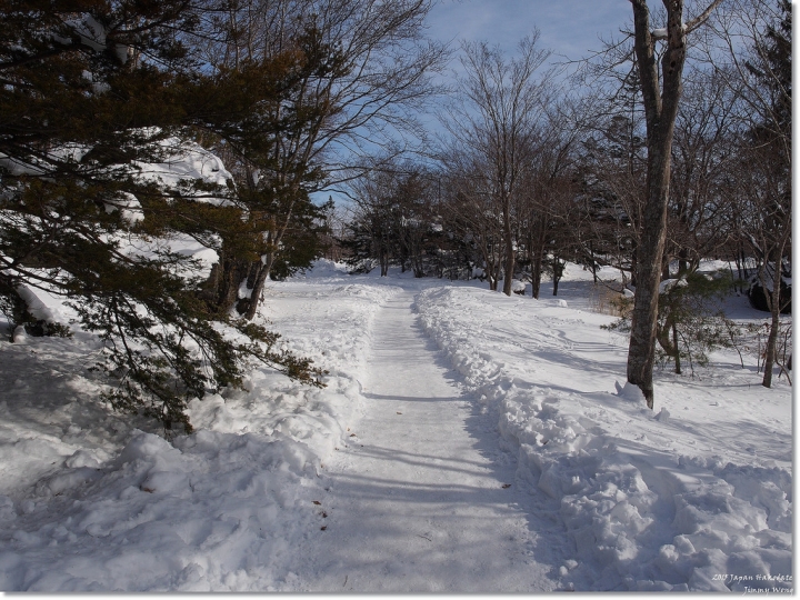 [日本東北自助行]-延伸北海道函館-巧遇冰雪奇緣雪寶-大沼國定公園(爽吃3.6kg帝王蟹)