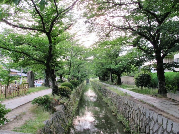 【Kyoto．走跳】京都哲學之道的夏日漫遊.鴨川跳烏龜與先斗町美味擔擔麵